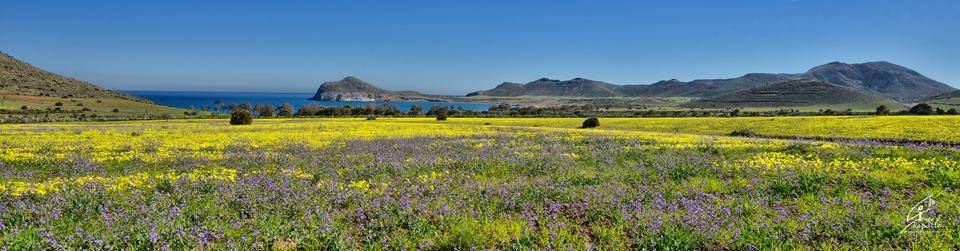 Bahía de los Genoveses - Parque Natural Cabo de Gata Níjar